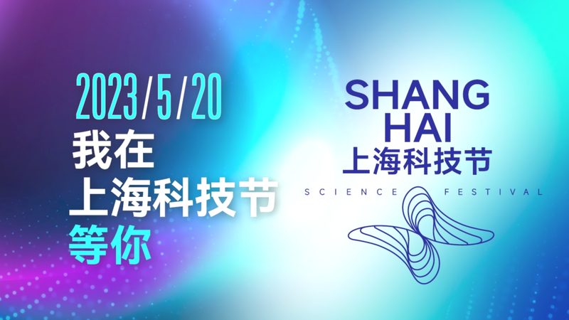 智能客服数据分析：揭秘价格背后的价值与考量